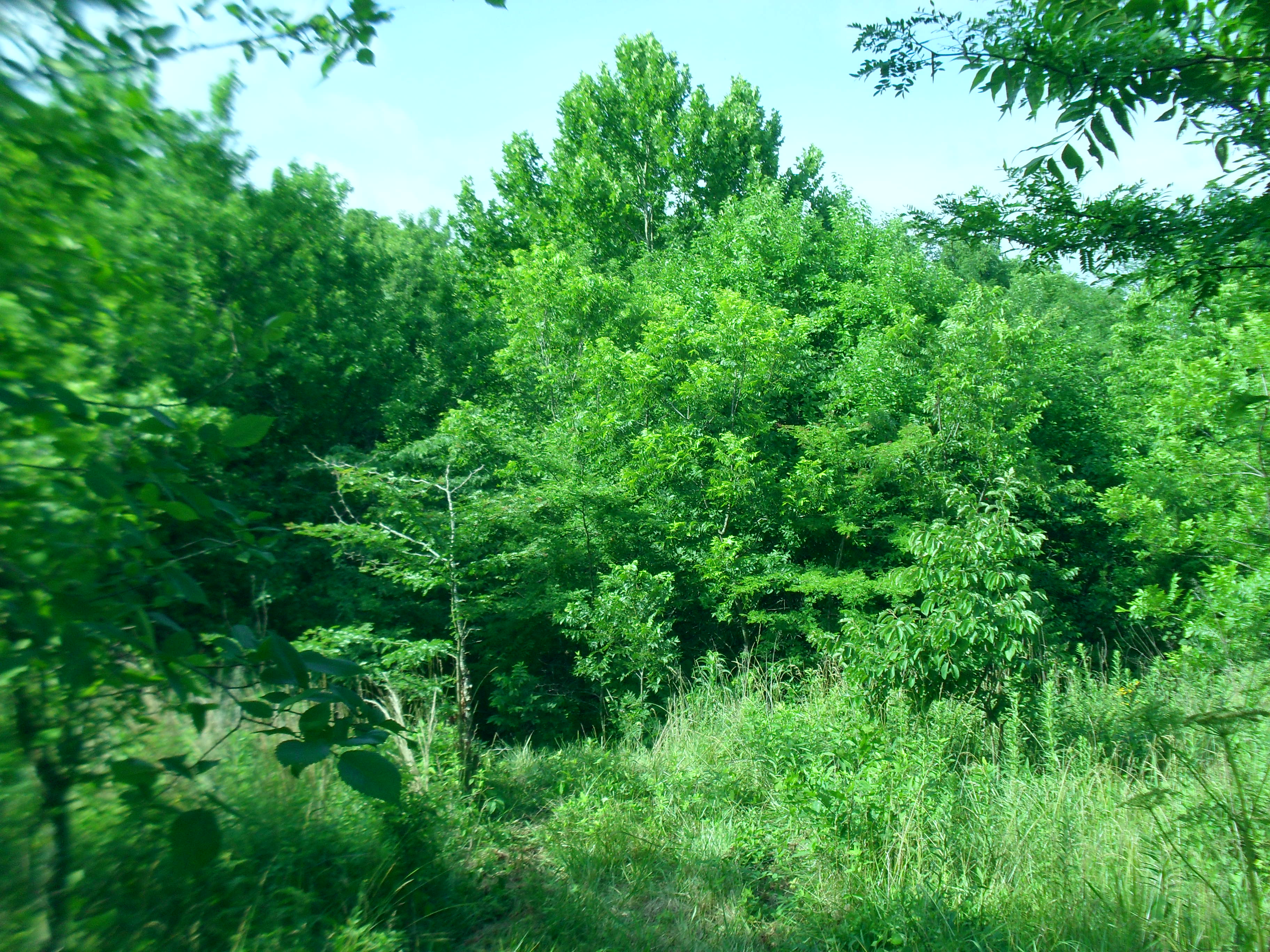 For Sale By Owner 14 M/L Acres 56,000.00