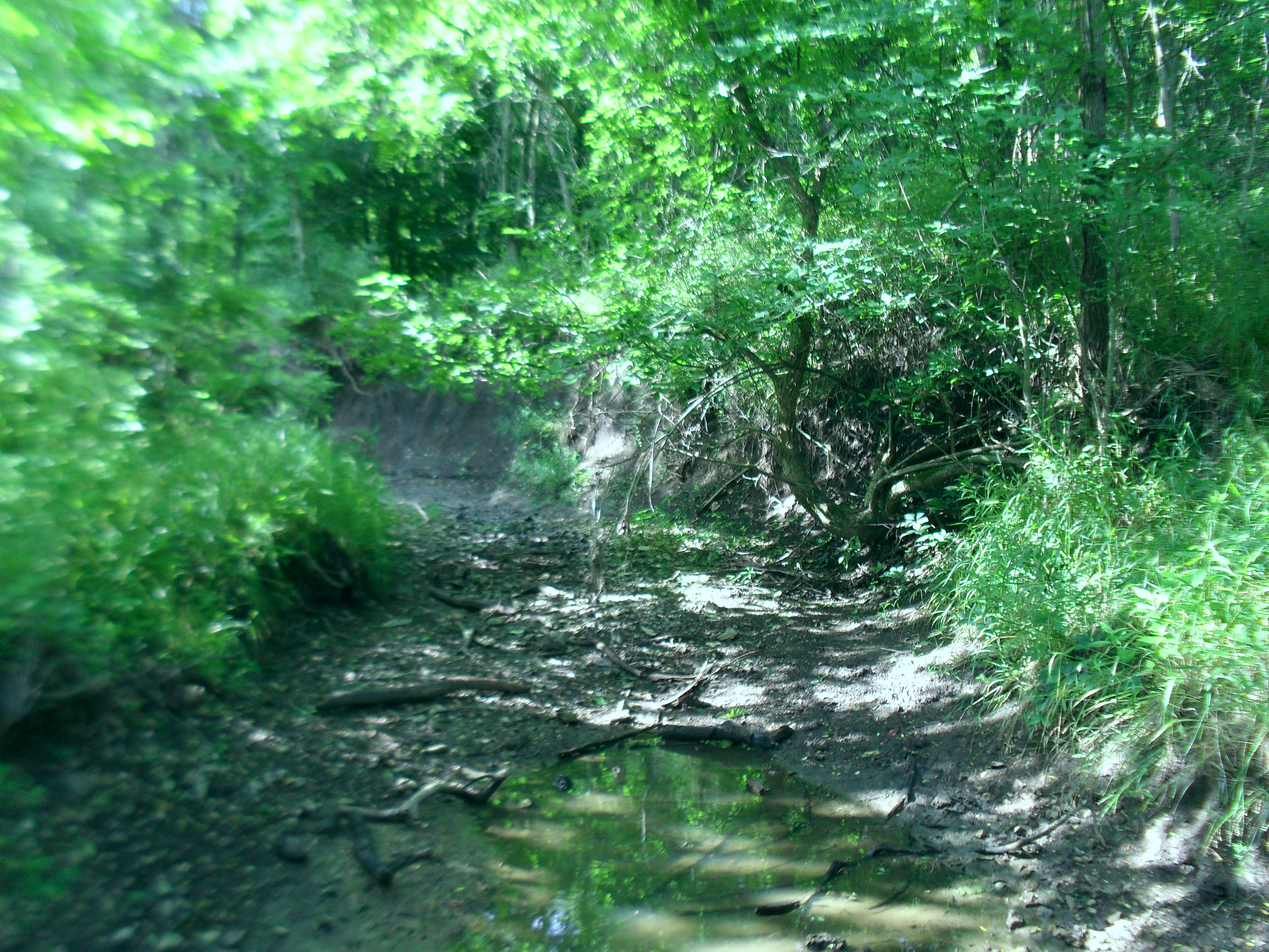 For Sale By Owner 14 M/L Acres 56,000.00