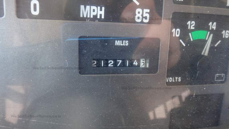 2000 International Pusher School Bus + Full Basement Storage