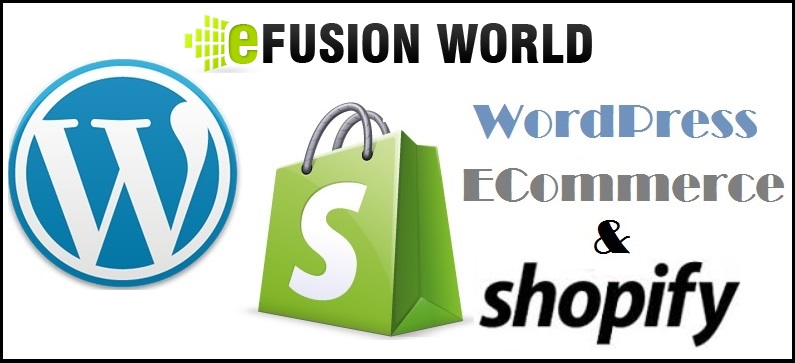 Setup Your Shopify Store Design with eFusionWorld