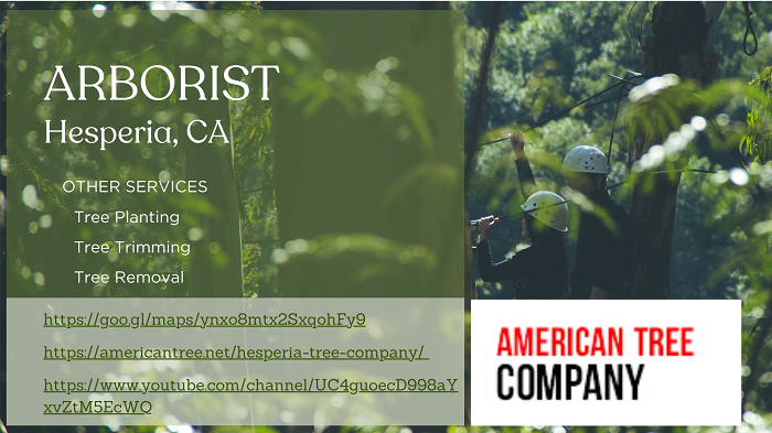 Arborist Hesperia, CA