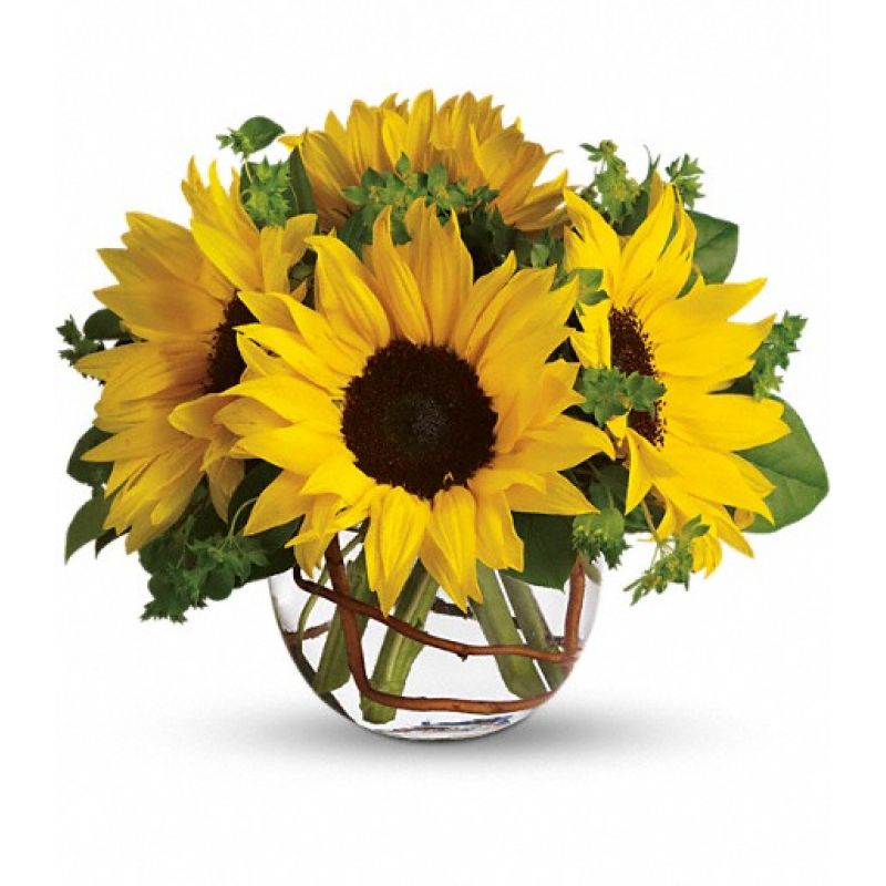 Williams Flower & Gift - Tacoma Florist