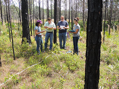 Gopher Tortoise Agent Training