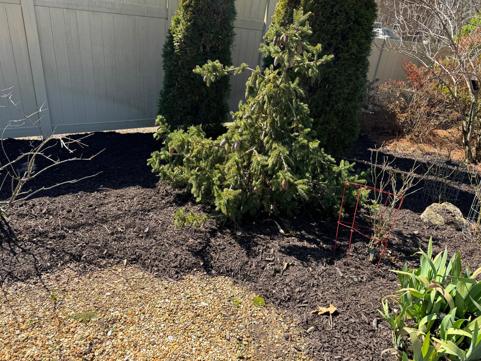 Diaz Lawn Care And Landscaping