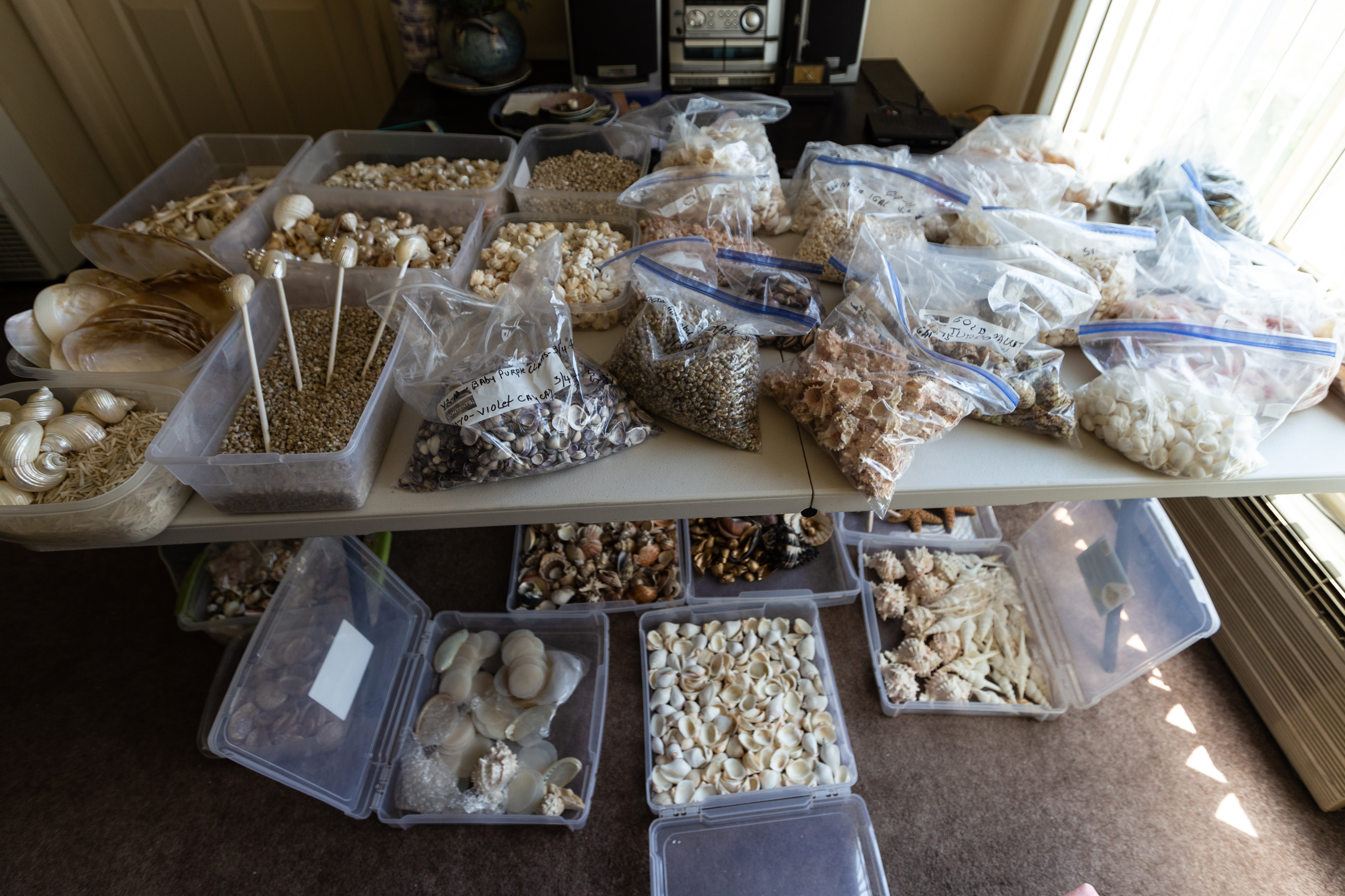 Decorative Seashell Business For Sale - Attn Crafters, Swap Meet Vendors, Antique/Craft Mall Vendors
