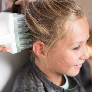 Lice Aunties Woburn and Boston lice removal