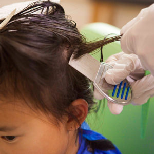 Lice Aunties Woburn and Boston lice removal