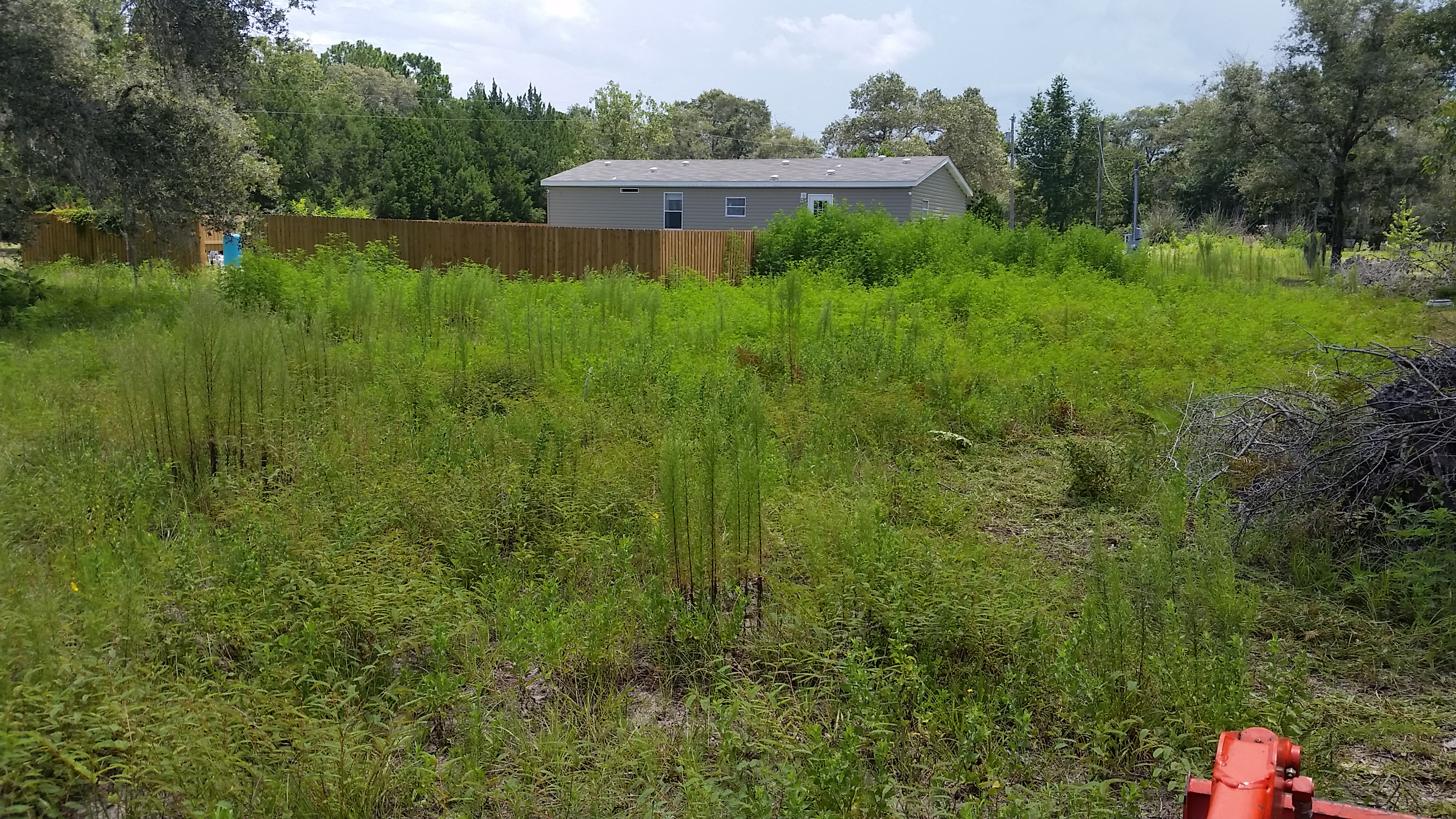 Mike's outdoor services,llc.