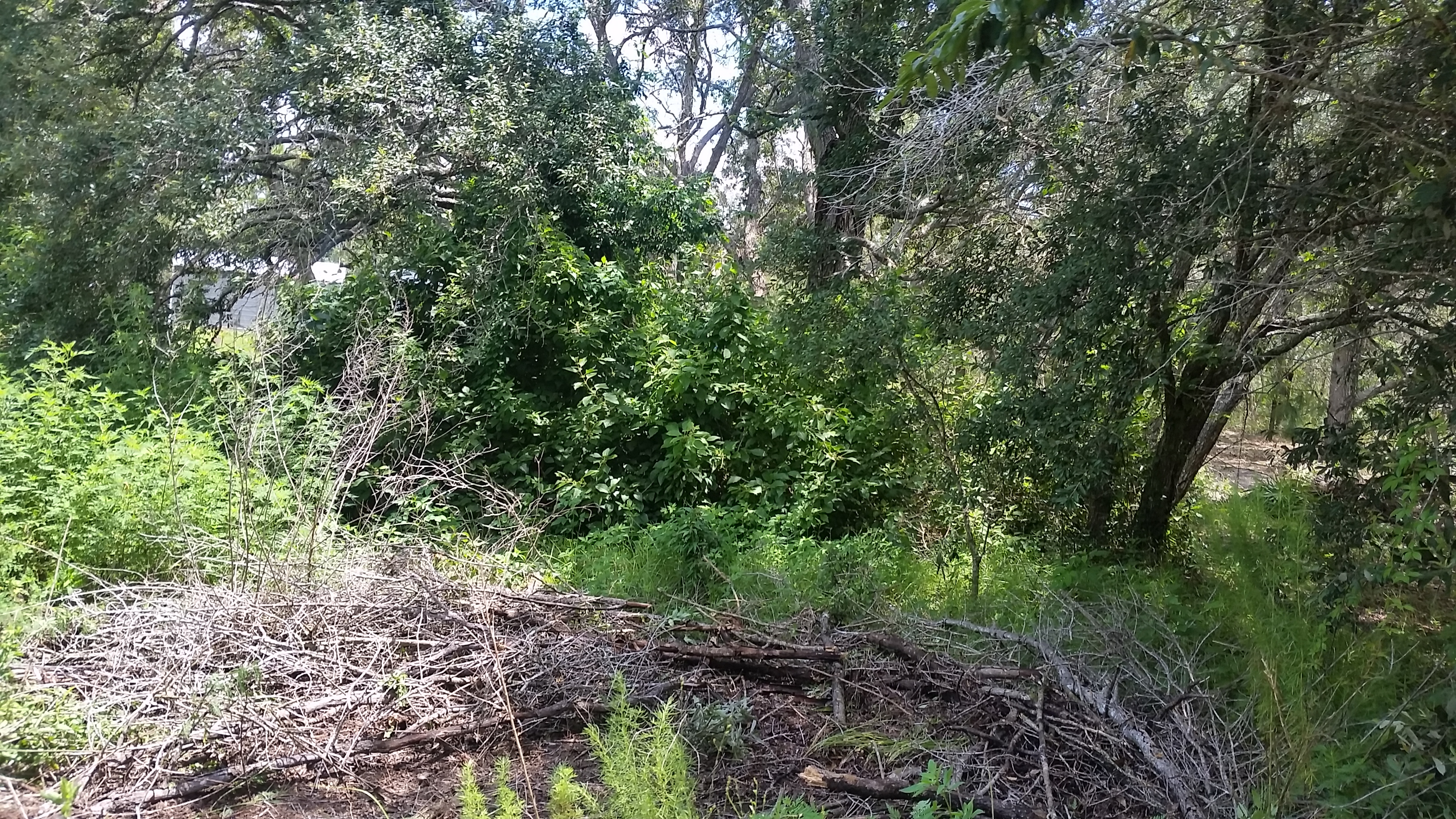 Mike's outdoor services,llc.