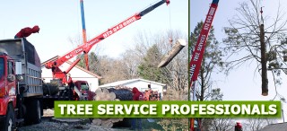 Expert Tree Removal in Saddle River, NJ