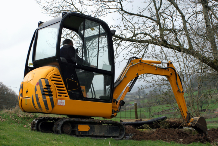 Cheapest stump removal & Grinding Murrysville