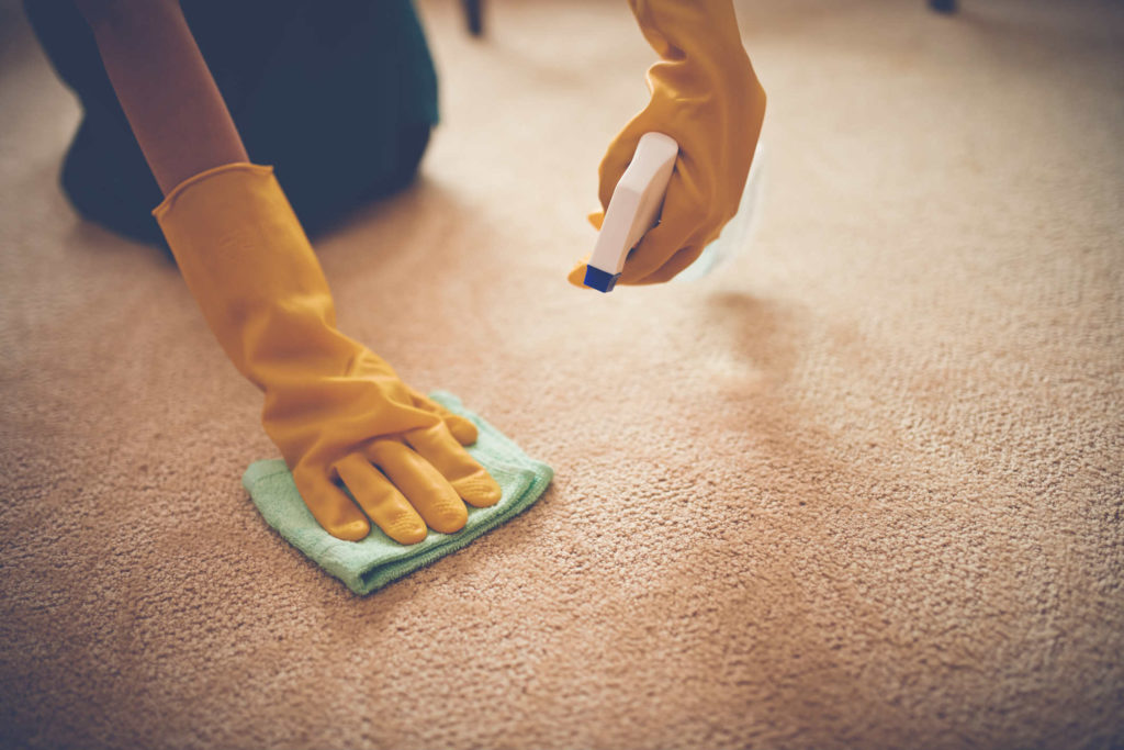 Custom Cleans Carpet
