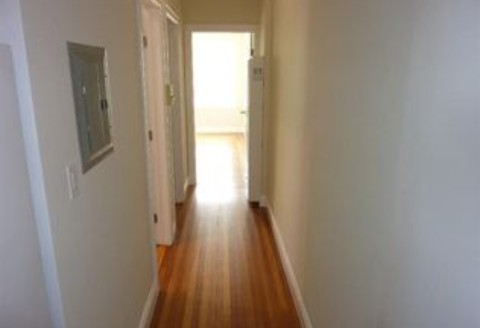 A lovely Apartment for rent