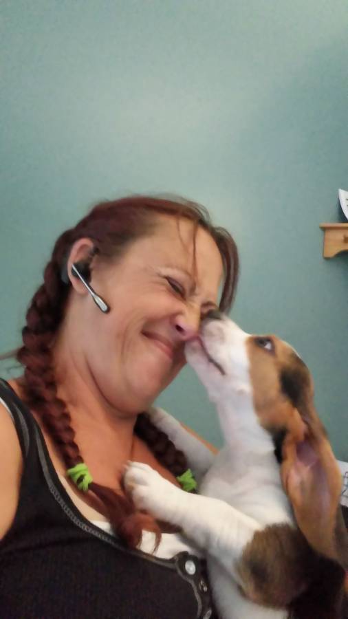 KENNEL FREE boarding & doggie daycare