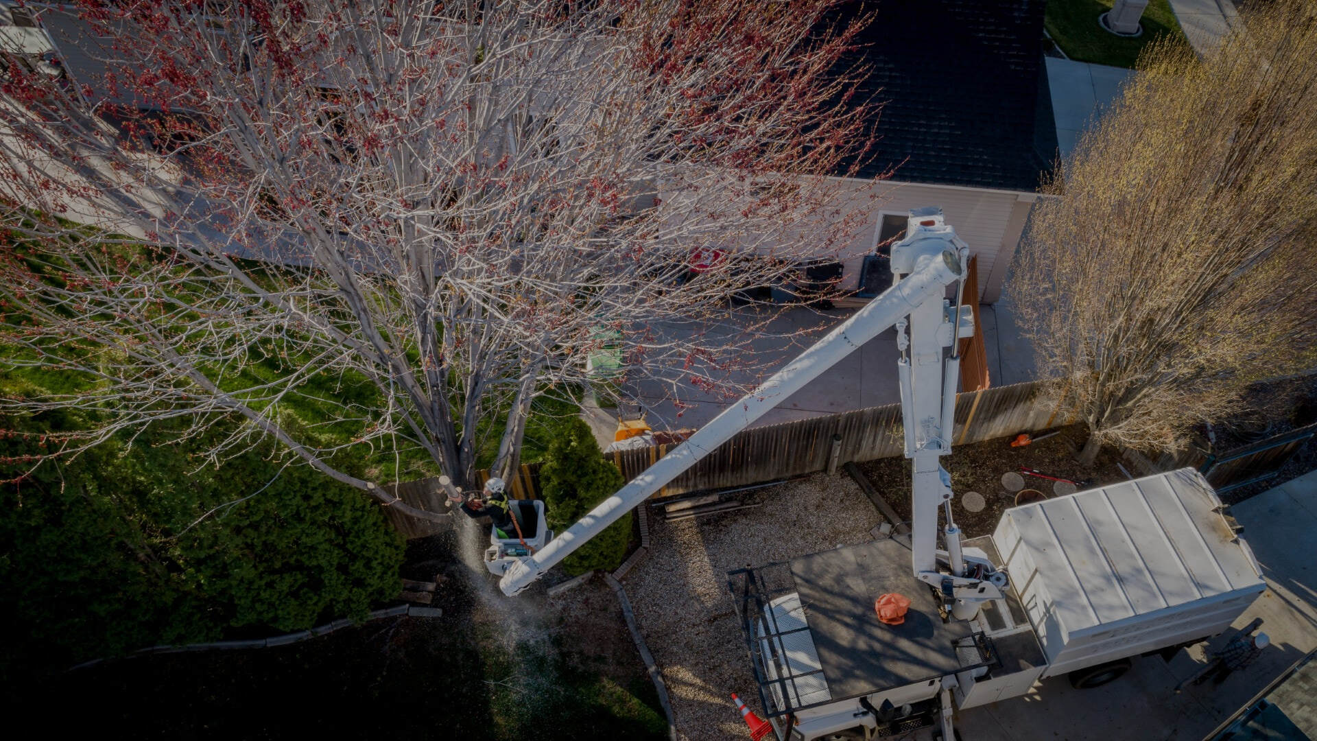 Simon’s La Vergne​ ​Tree Service