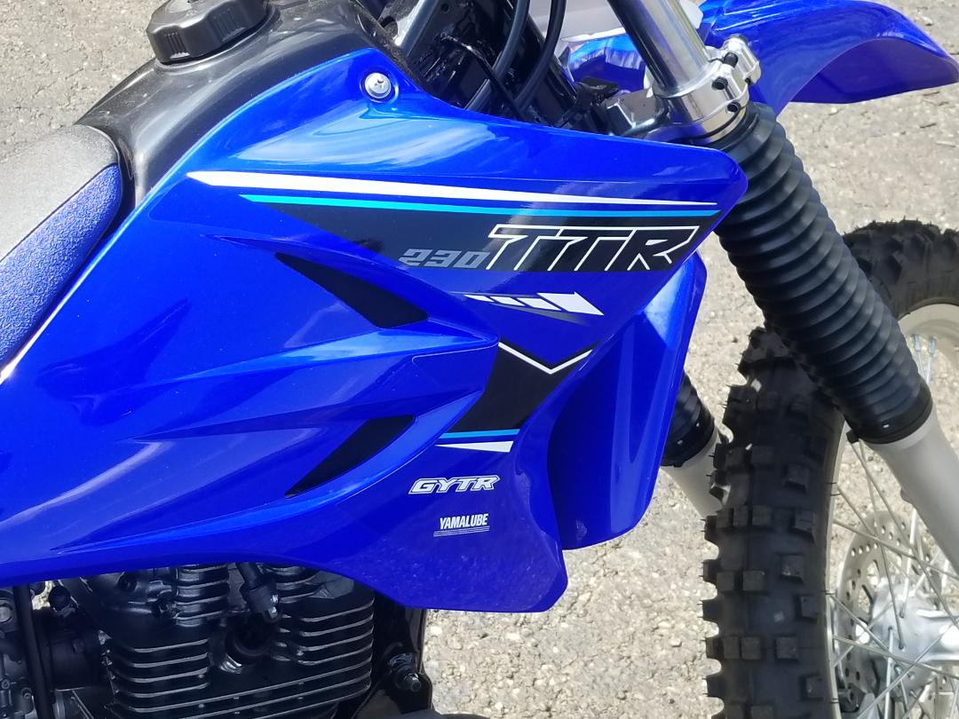 2021 Yamaha TTR 230