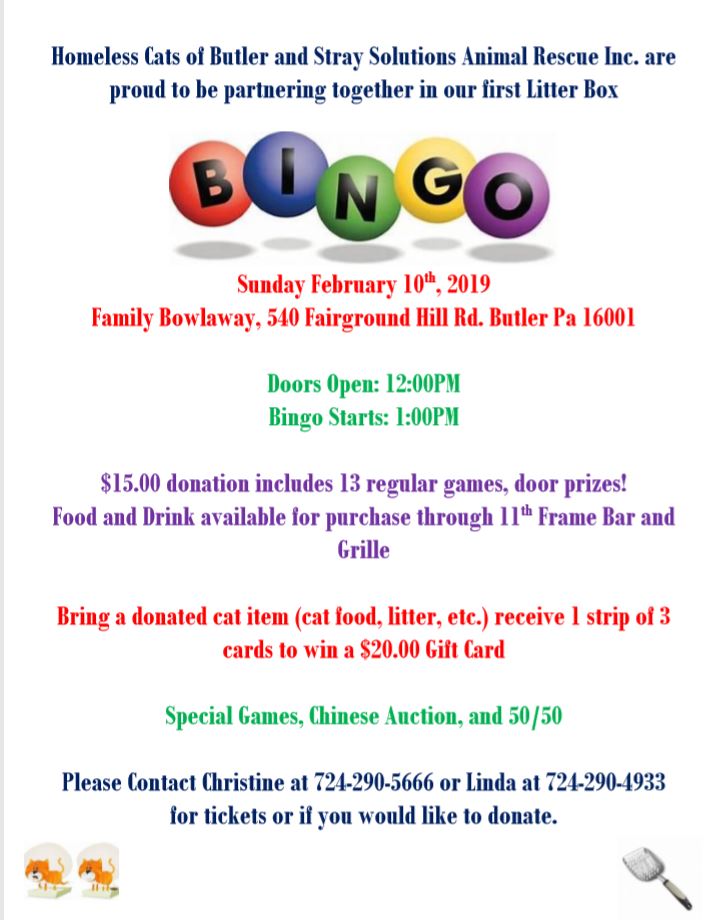 Litter Box Bingo