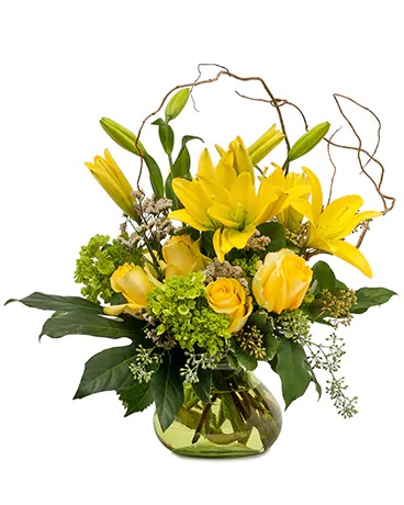 Ace Florist & Flower Delivery