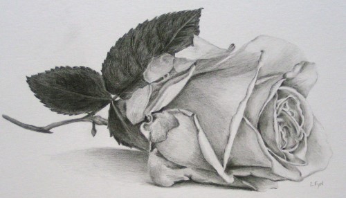 Teach you to Draw!