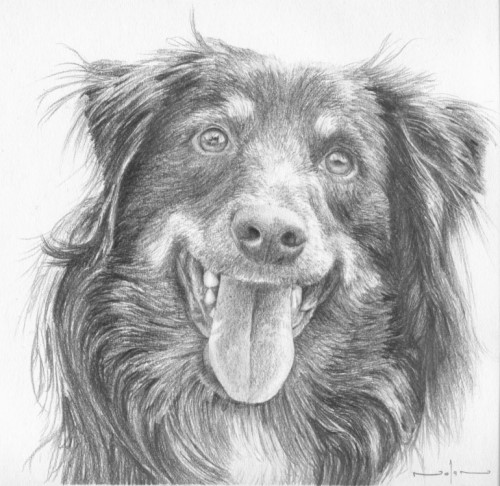 Teach you to Draw!