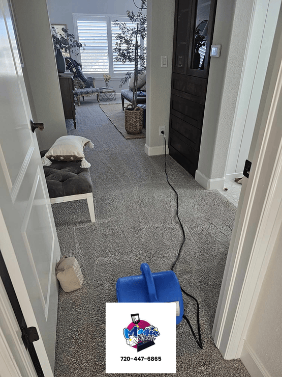Trusted Carpet Cleaning in Highlands Ranch CO for Deep Carpet Restoration