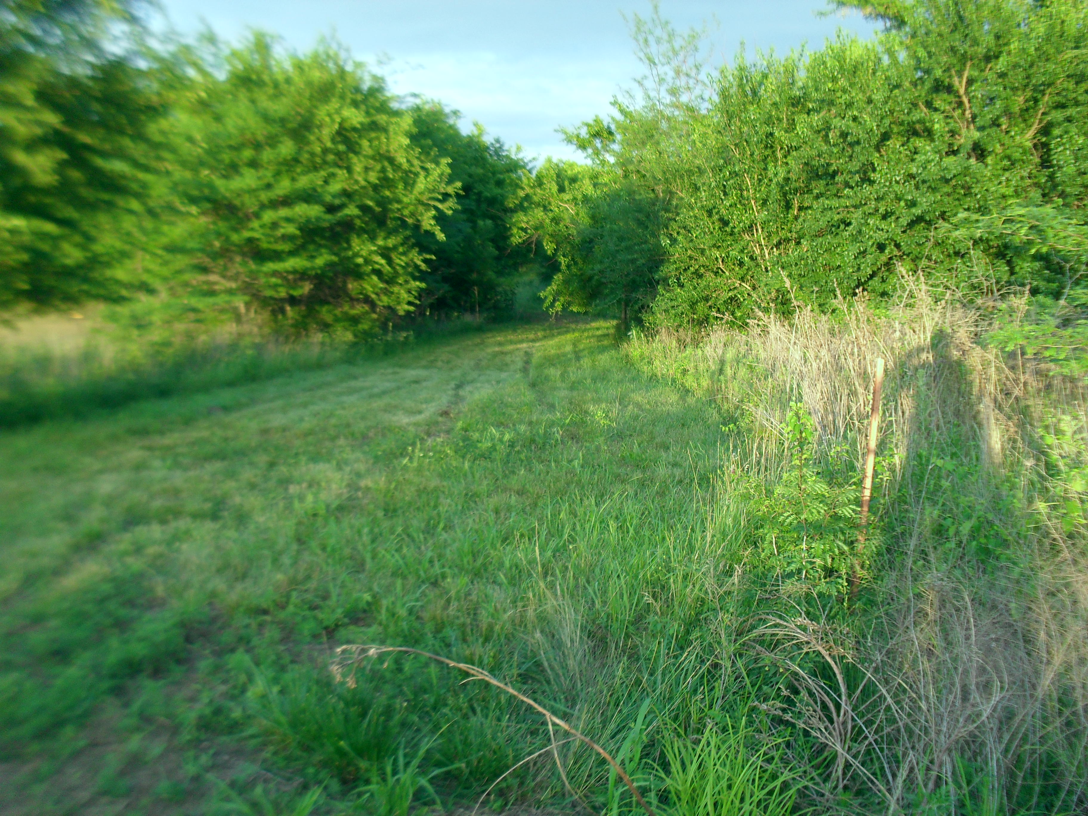 For Sale By Owner 14 M/L Acres 56,000.00