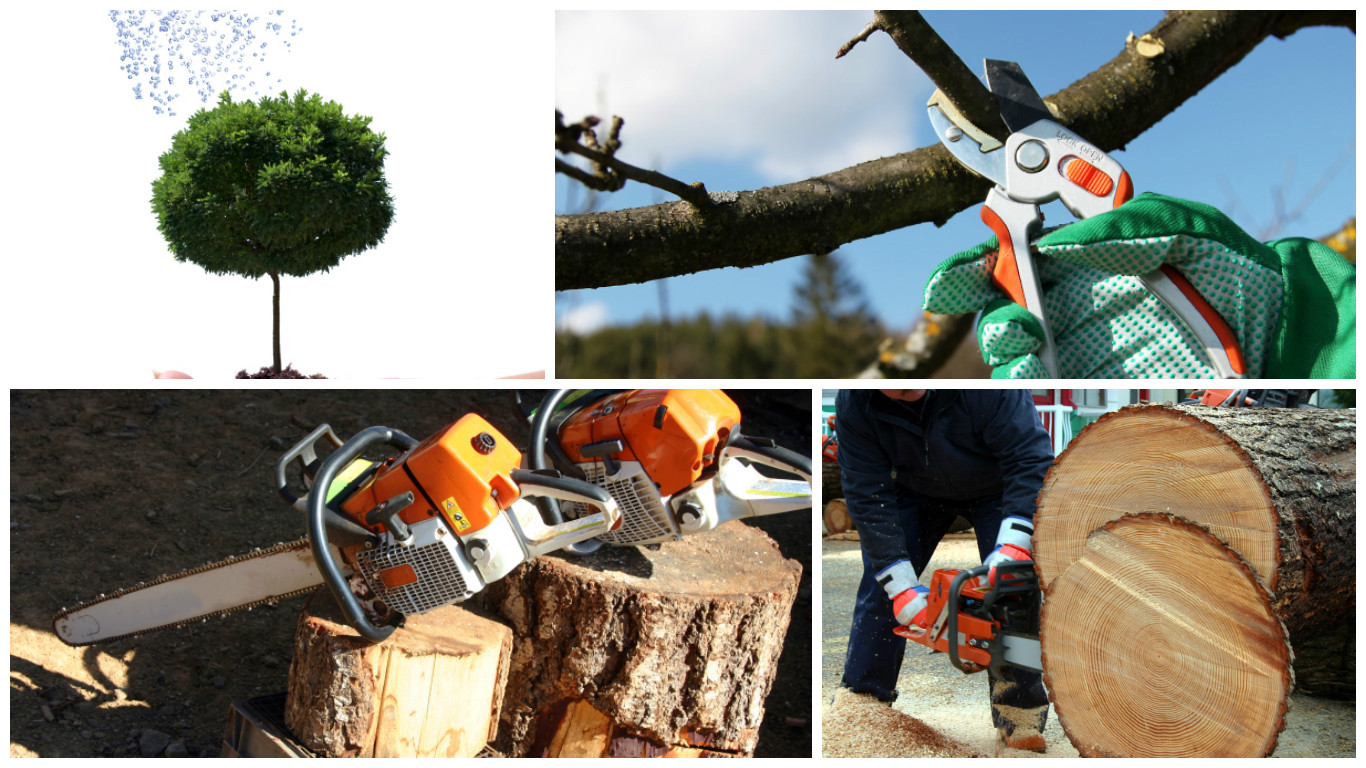 Anthony's Property Restoration and Tree service