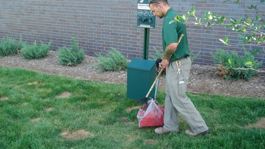 Eco-Friendly Dog Poop Removal Services