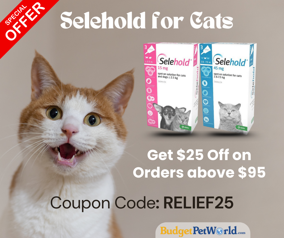 Keep Cats Safe with Selehold – Save Big Today!