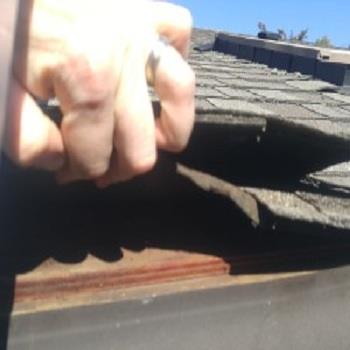 Octopus Home Inspections, LLC