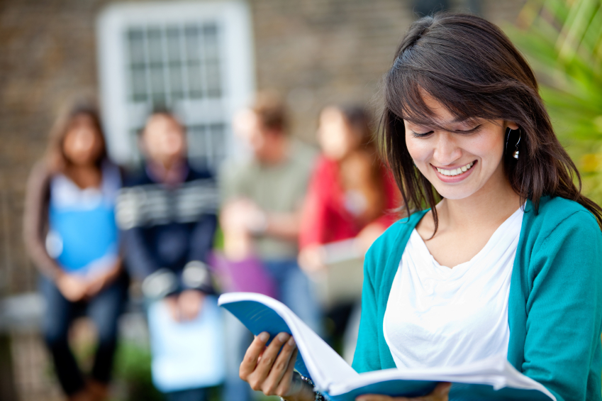 Professional Essay Writer