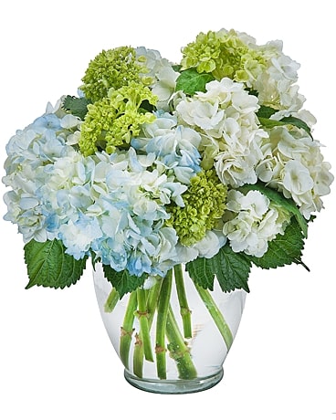 Sissons Flowers & Gifts