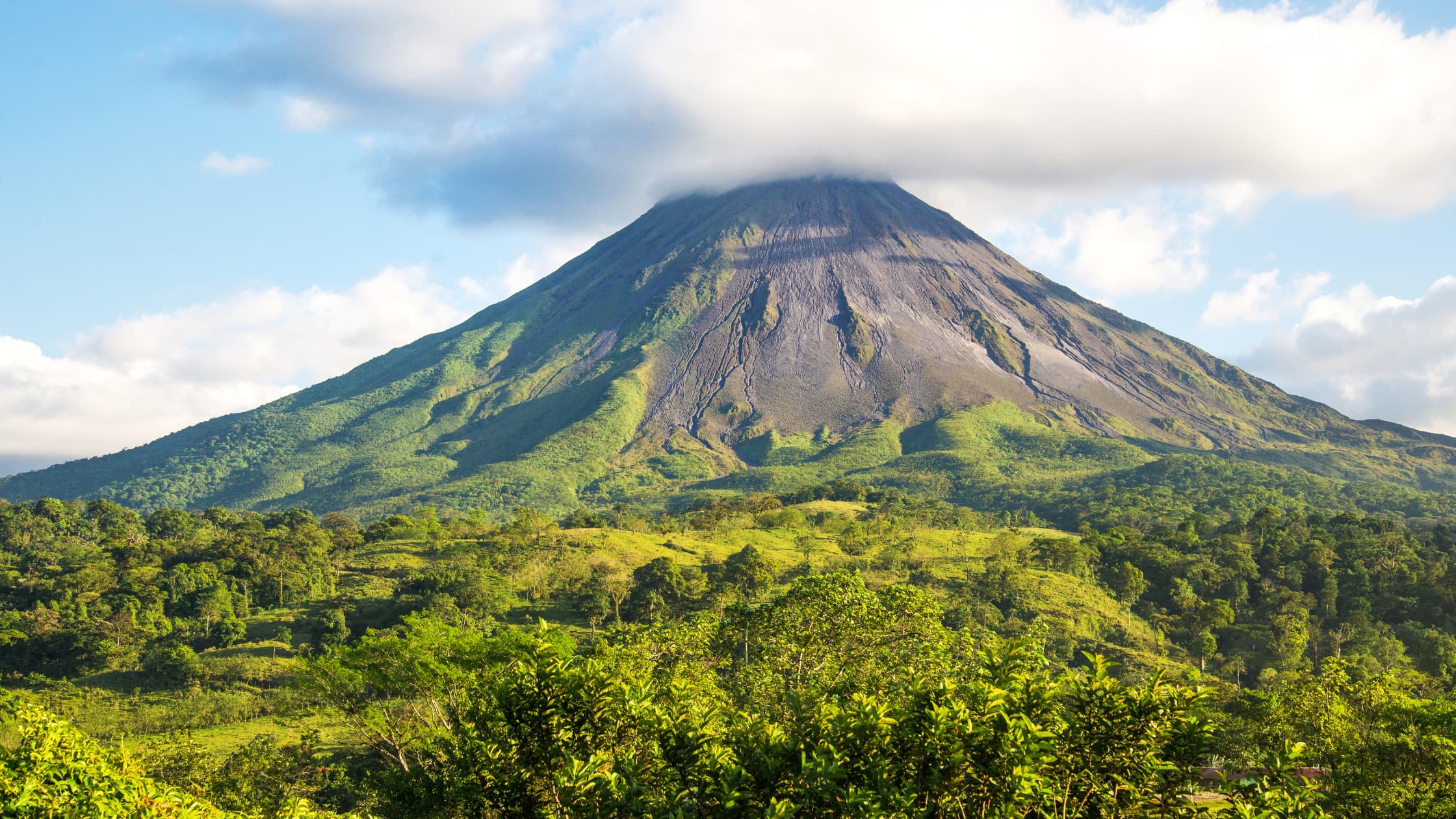 Choose the Best Costa Rica Tour Company? Eco Terra Costa Rica