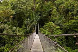 Choose the Best Costa Rica Tour Company? Eco Terra Costa Rica