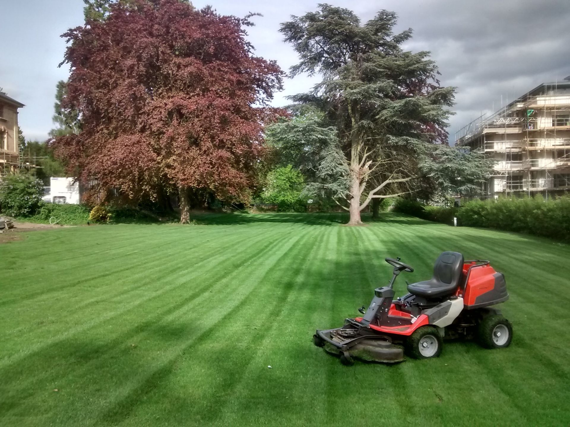 Misty Lawn & Landscaping