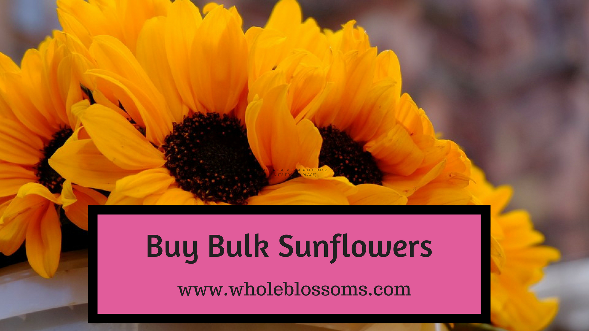 Buy bulk sunflowers to decor beautiful Wedding Centerpieces