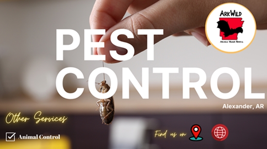 Pest Control Alexander, AR