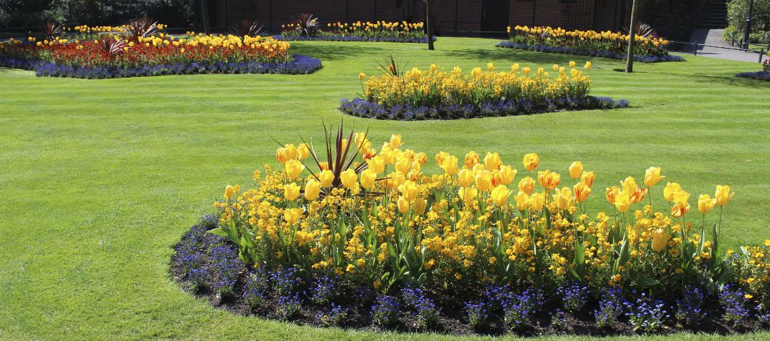 Ogden Home Services