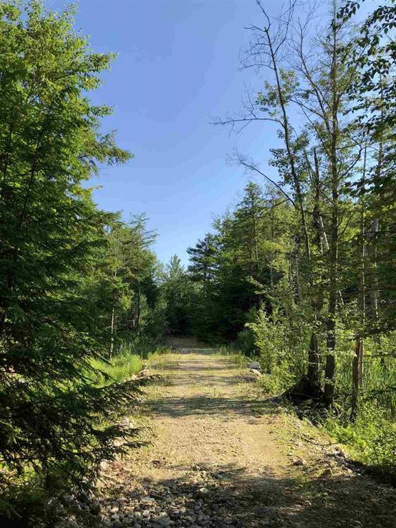 Rare opportunity to own over 28 acres in extremely desirable Deerfield.