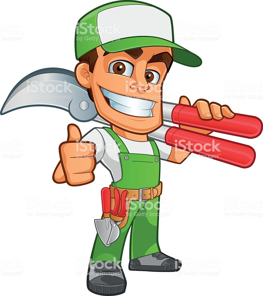 VAZQUEZ GARDENING 714 865 5074
