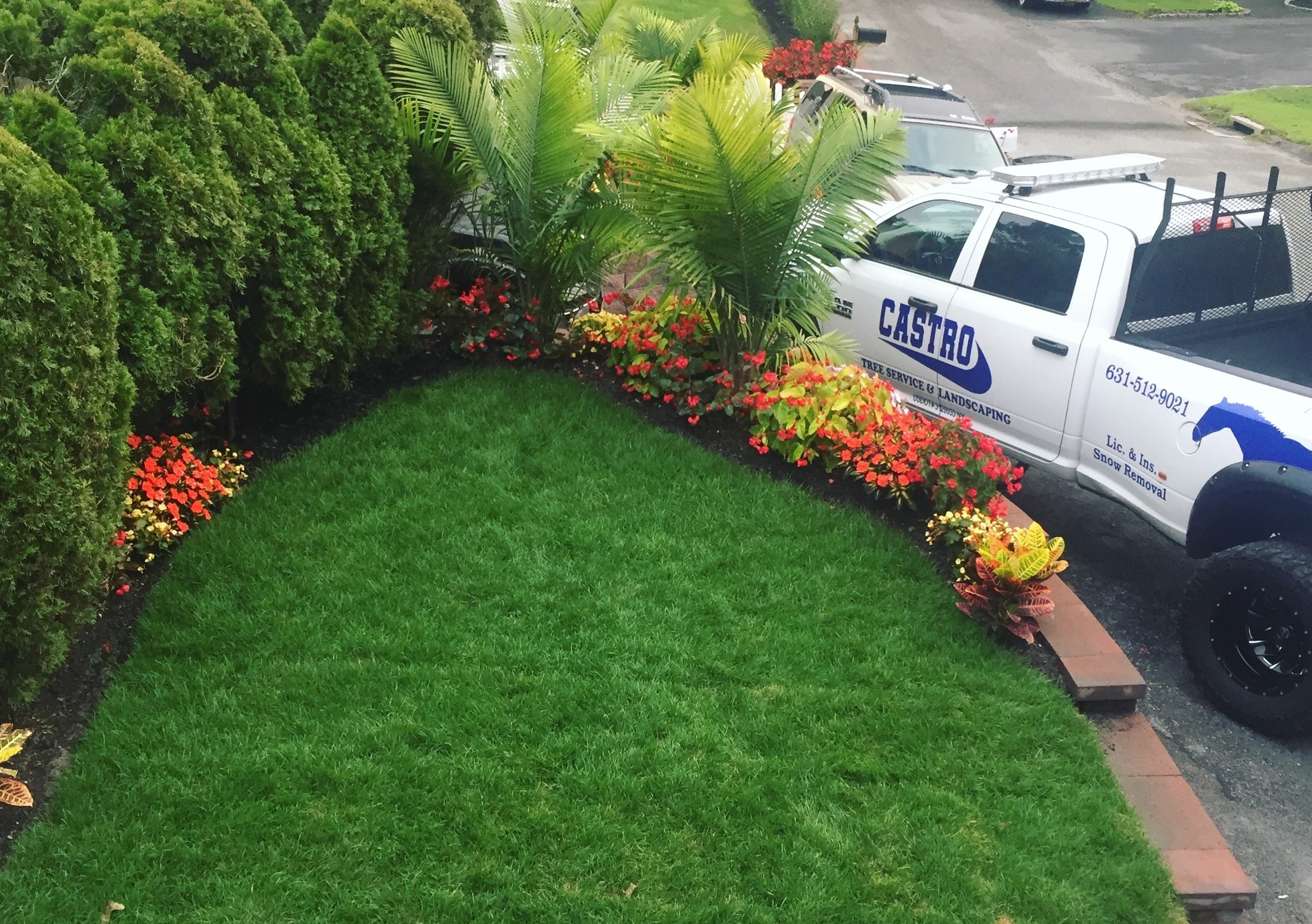 Castro Landscaping