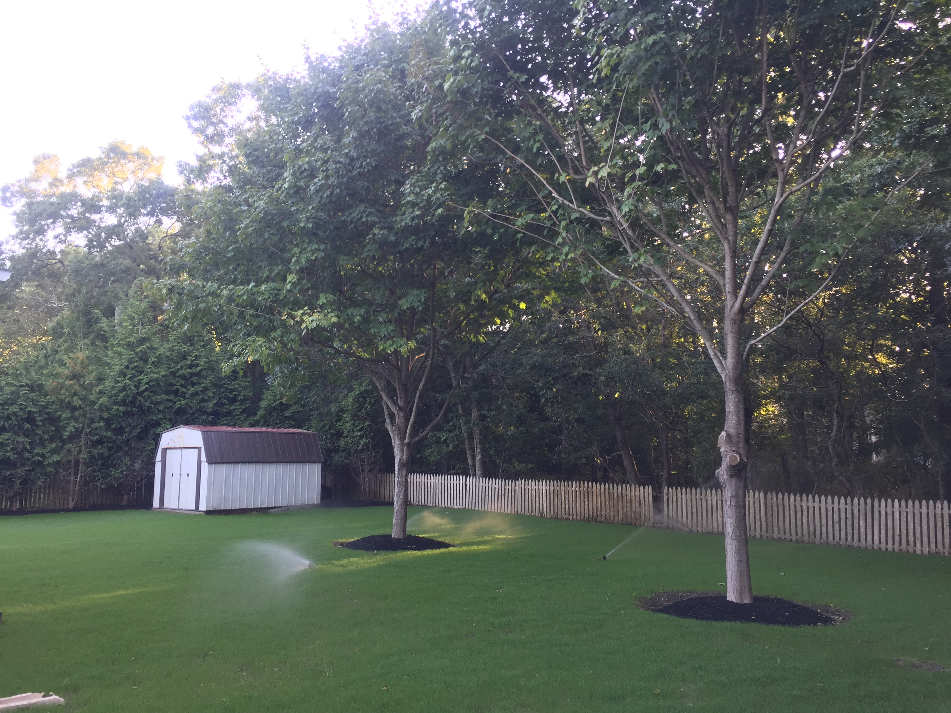 Castro Landscaping