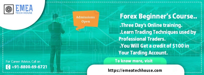 Pennysaver Forex Beginner S Online Course And Training In India - 