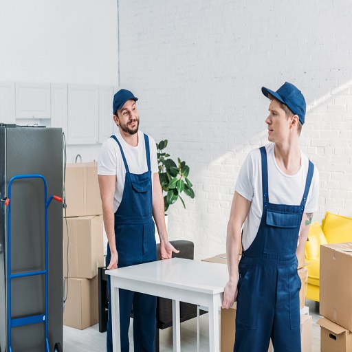 Waldorf Mover's