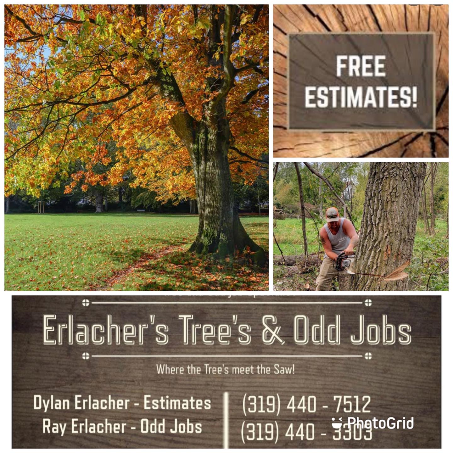ERLACHER'S TREE SERVICE'S