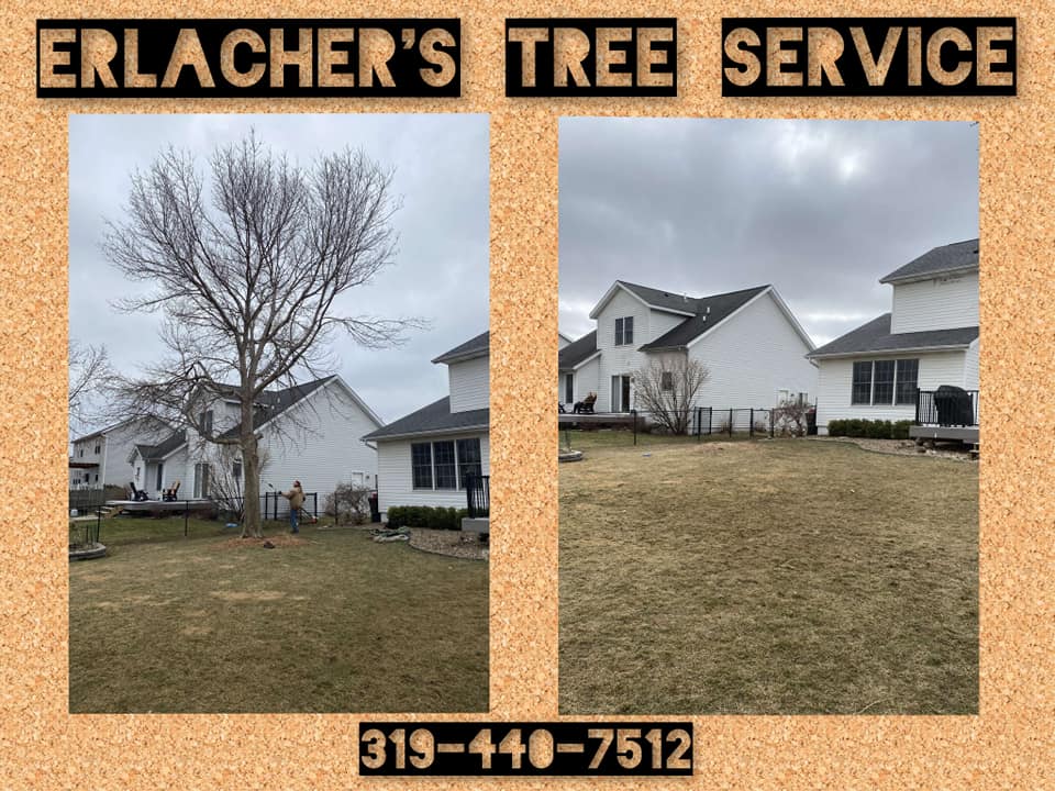ERLACHER'S TREE SERVICE'S