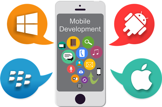 Website development solution In Florida
