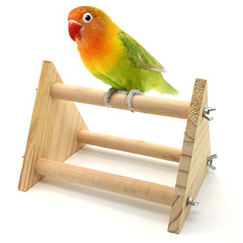 NCA Bird Club General Meeting