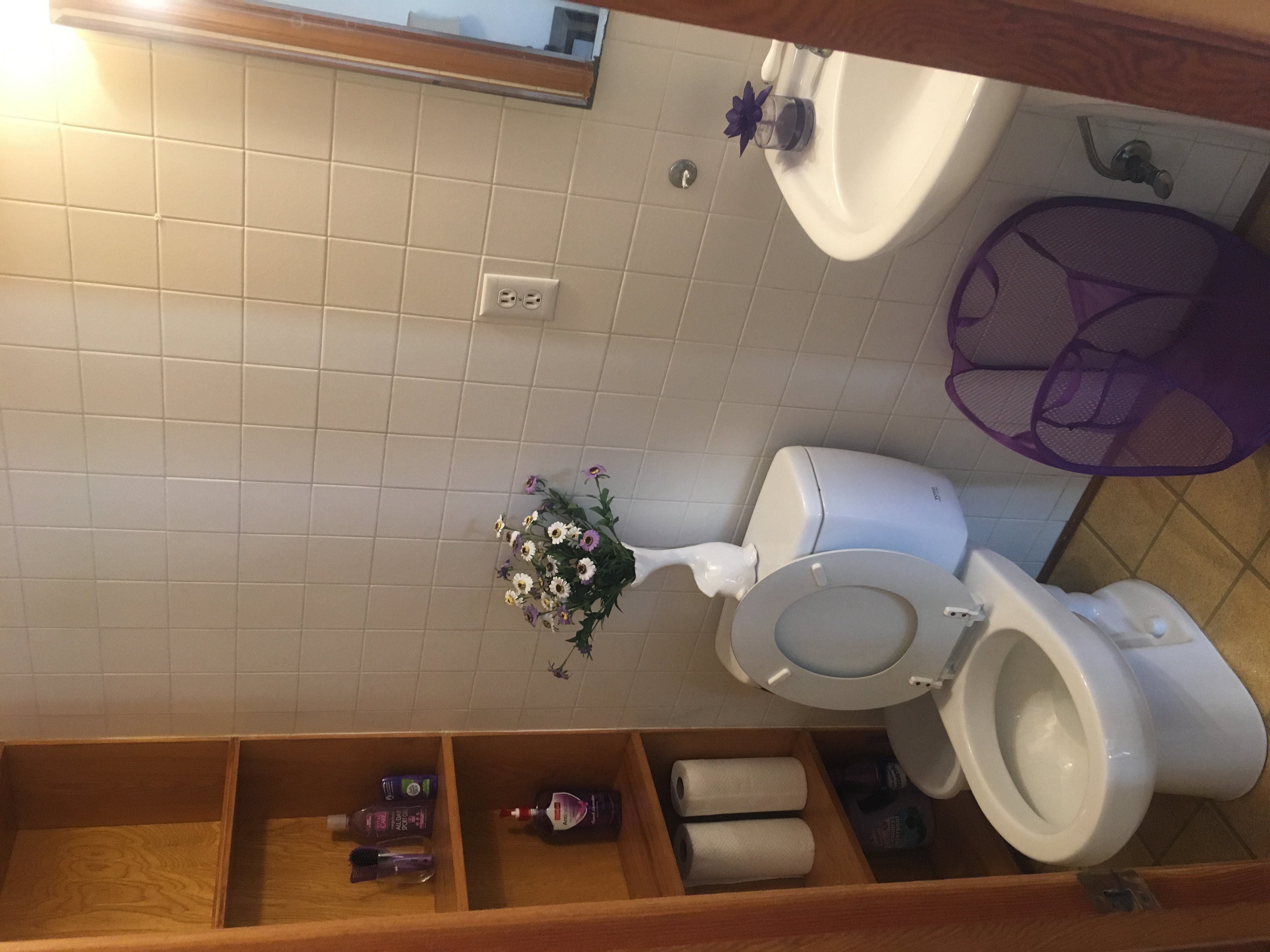 Nice Studio for Rent