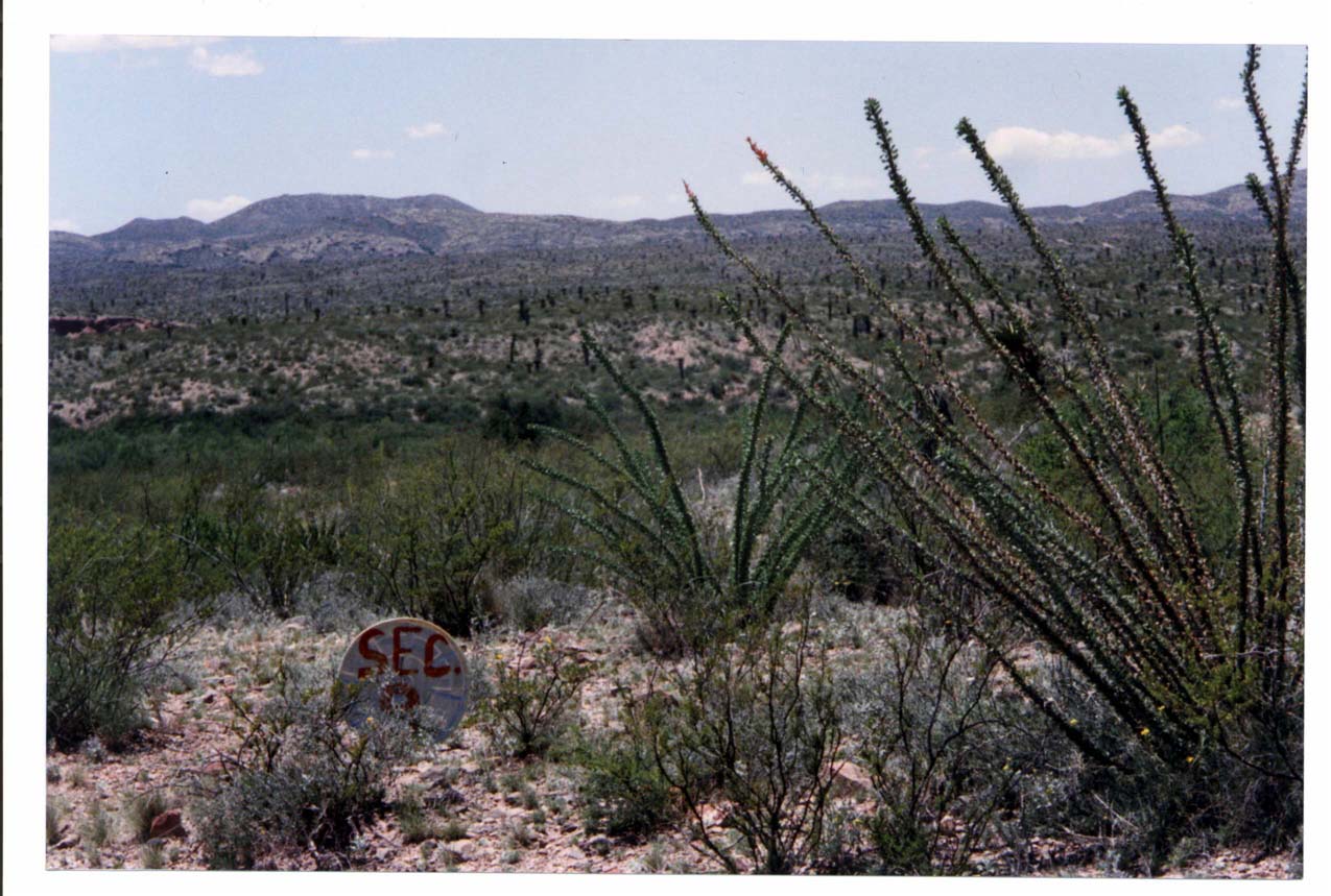 Take Over 20 Acres West Texas Ranchland